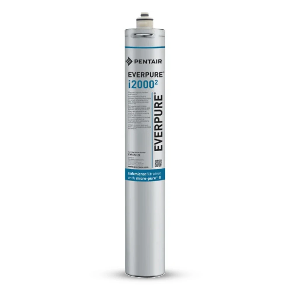 Pentair Everpure Insurice i2000, Water Filter With Head, 4 x 4 x 22 inches(W x D x H)